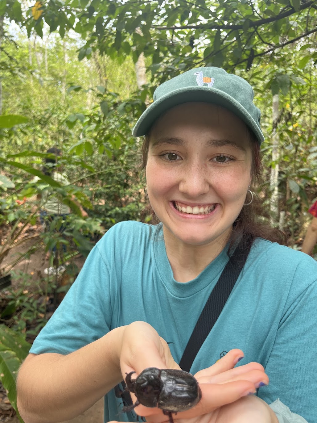 A bug in the Amazon Rainforest