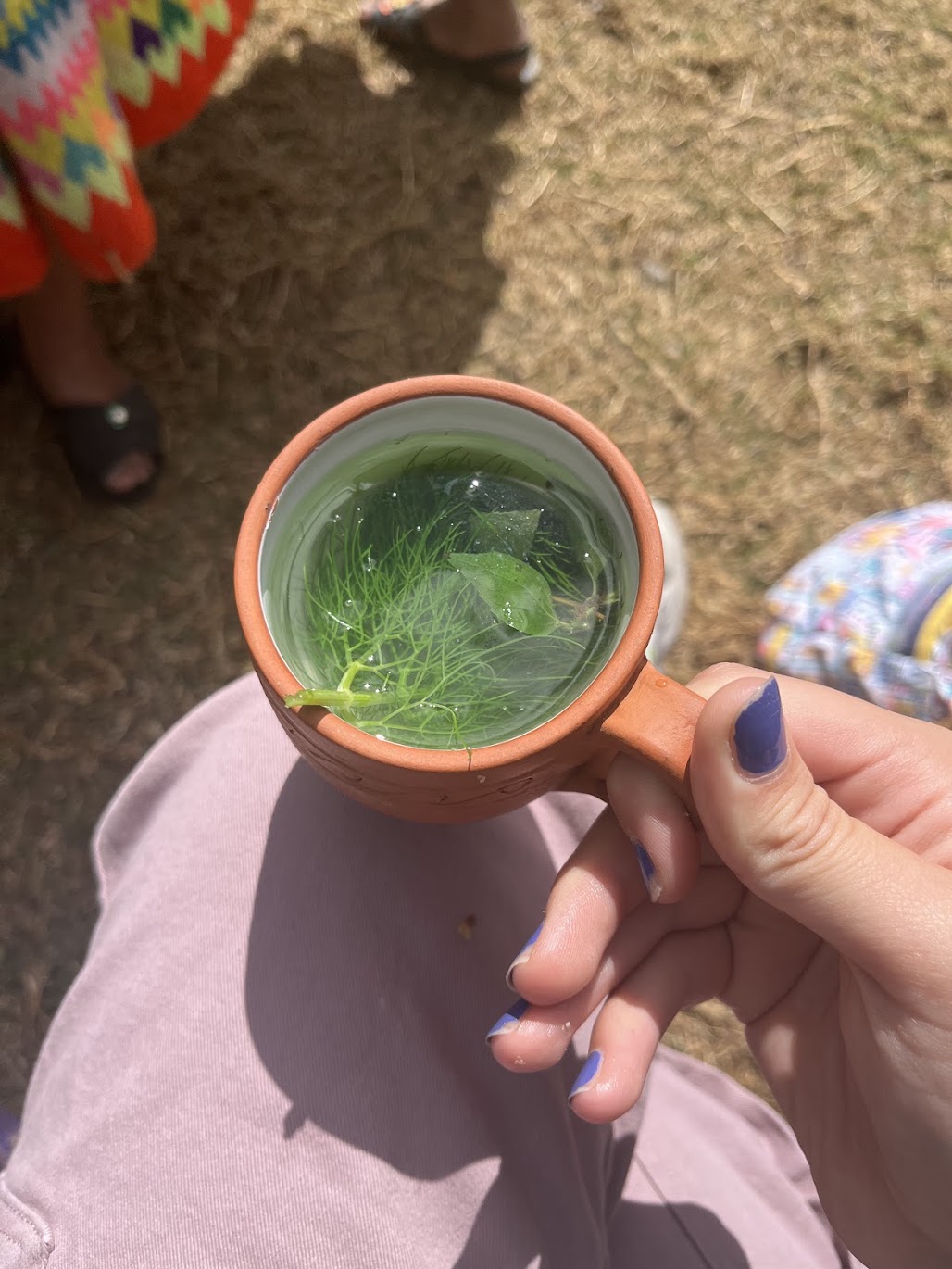 The tea we were served when we visited Huilloc, an indigenous community in the Sacred Valley of Cusco.