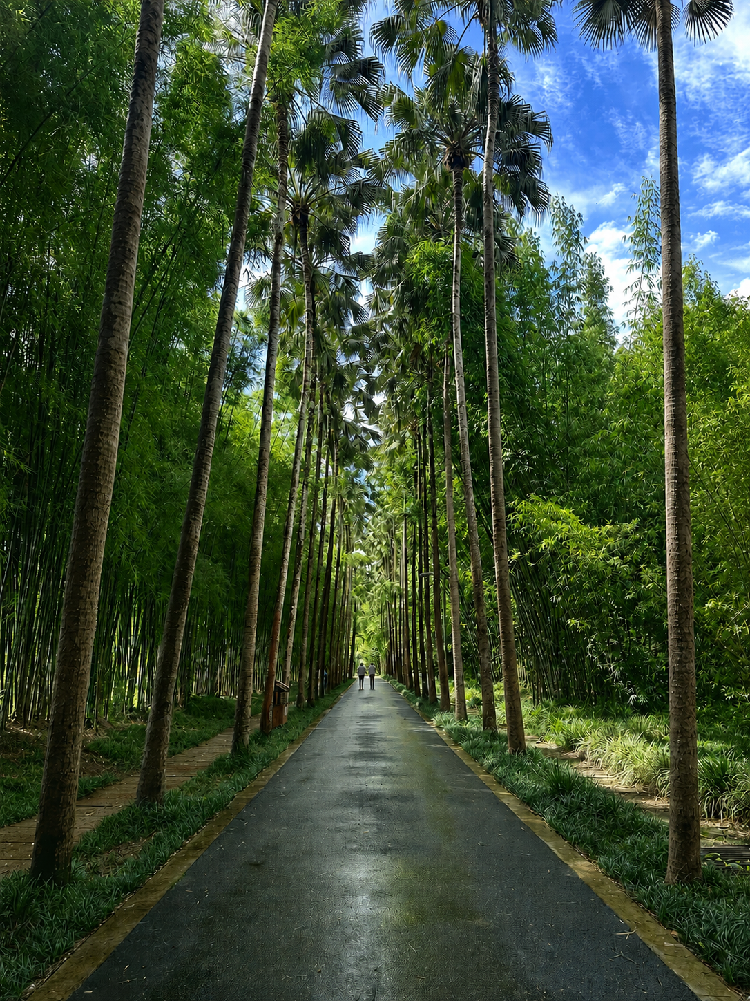 Bamboo