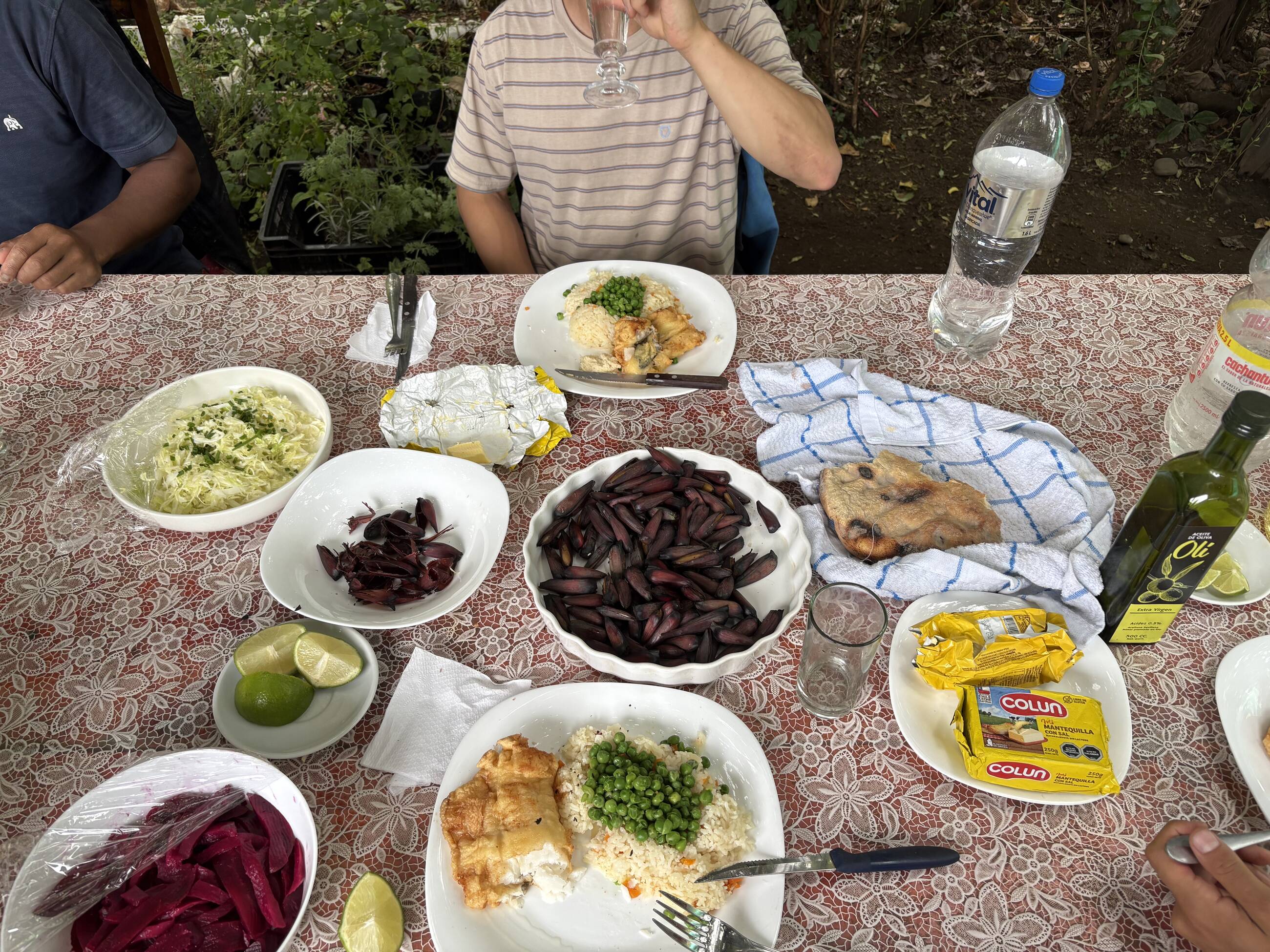 Lunch with my host family in the South of Chile