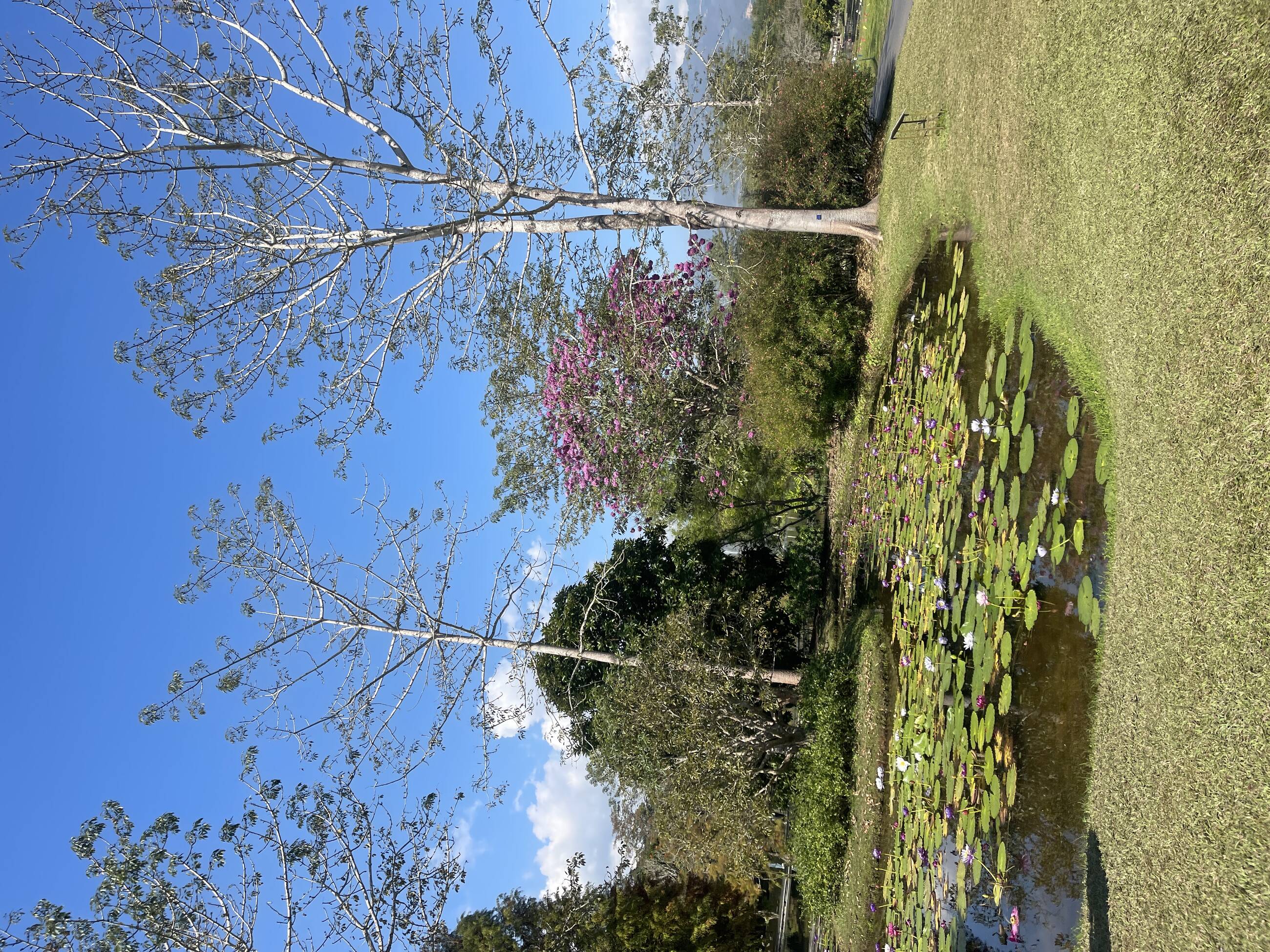 Park 