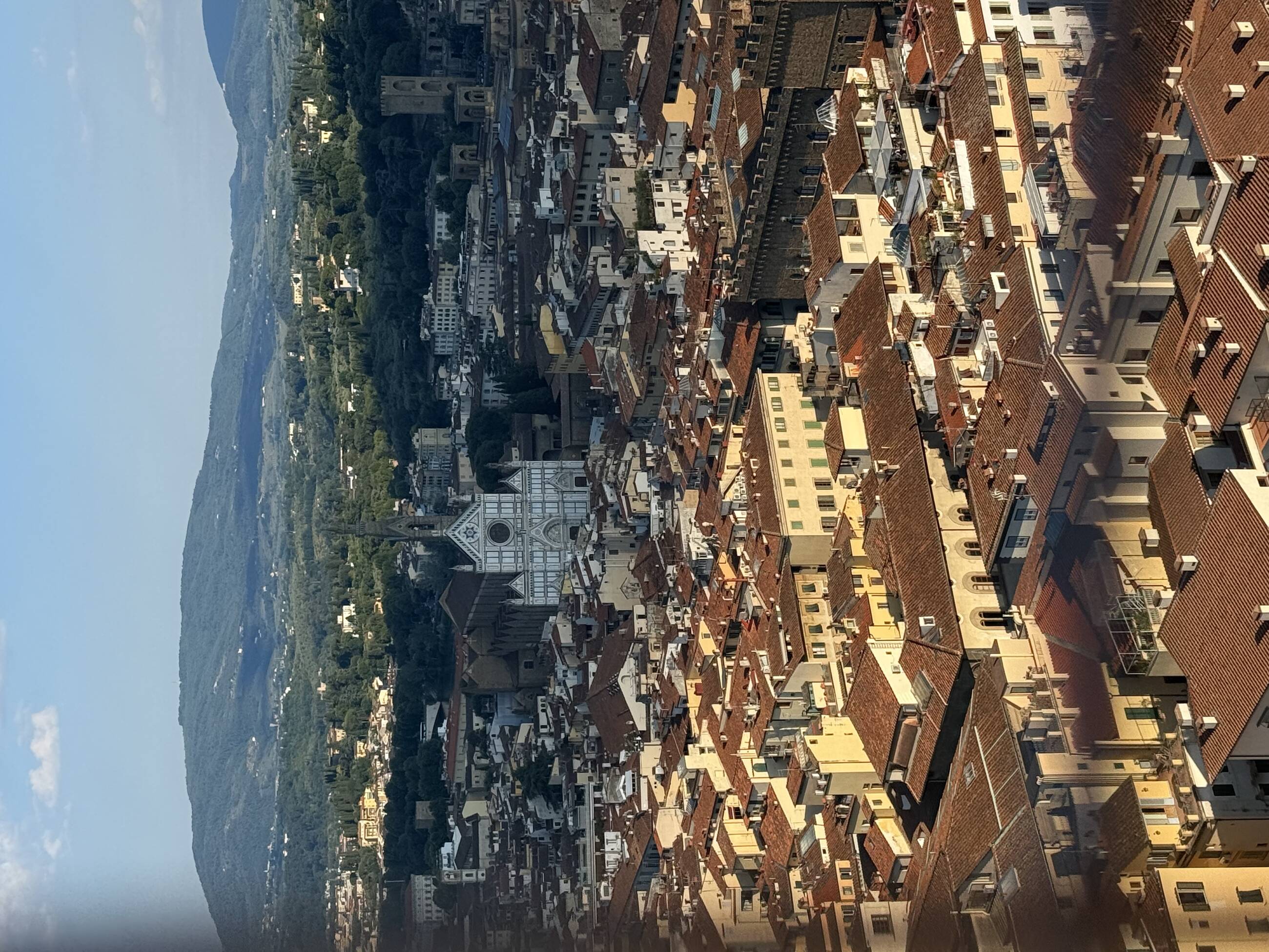 View of Florence 