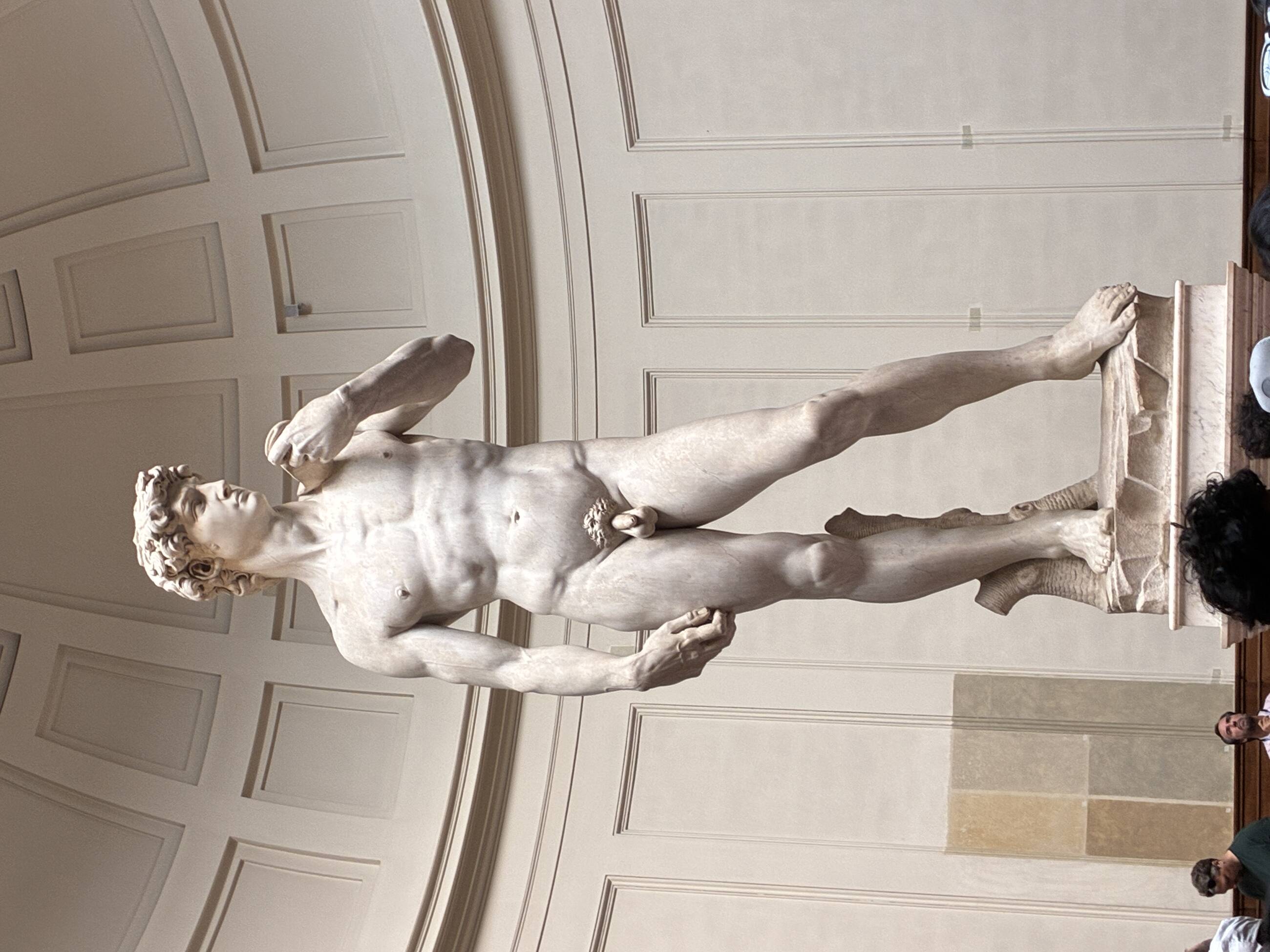 The David