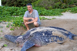 Man sitting next to a giant turtle on a beach
