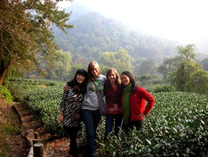 CIEE teachers in the Chinese tea fields