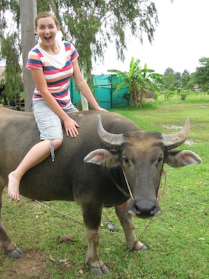 Girl riding a water buffalo in Thailand