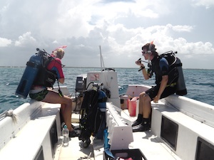 Scuba in the Bahamas