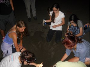 Kylie and fellow volunteers digging up a turtle nest at night on a turtle walk