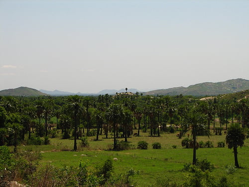 Donald Smith - Volunteer in India