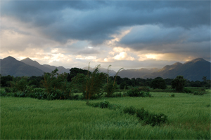 Scenery of Madagascar