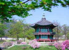 Temple in South Korea