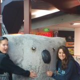 Megan Donnelly now loves koalas