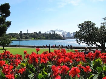 TEAN student's shot of Sydney Opera 