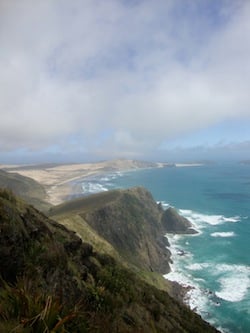 TEAN New Zealand students by the ocean