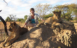 Zimbabwe Lions 
