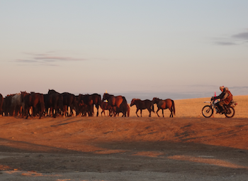 IES Beijing students in Mongolia