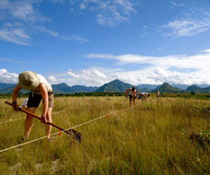 Pioneers working on reforestation