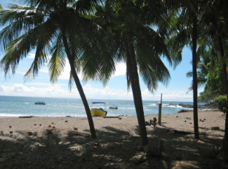CISabroad Costa Rica alumni interview