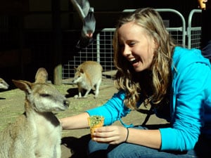 Rachel feeding a kangaroo