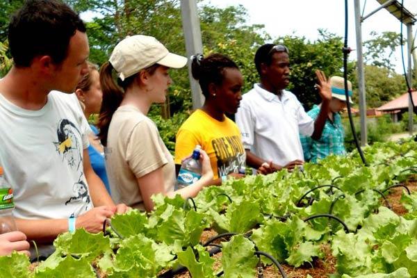 Jane studying in Costa Rica with other ICDS students