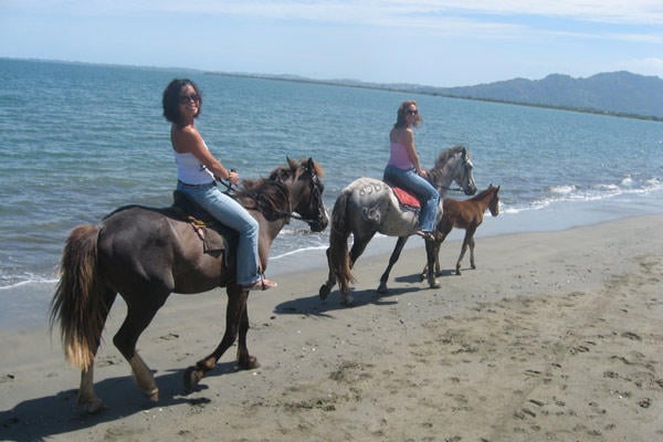 Horseback riding in Fiji