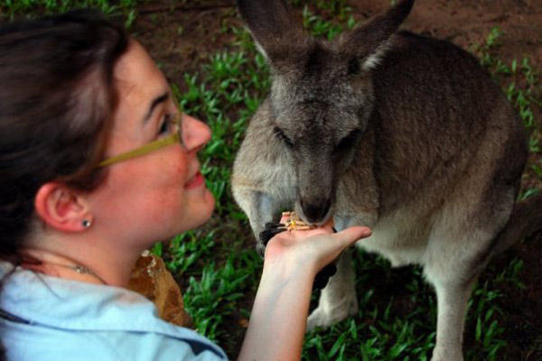 Elyse feeding a kangaroo in Australia