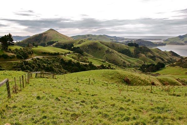 A beautiful shot of the New Zealand countryside