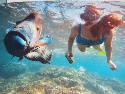 Australia Scuba Diving Aimee Morrison