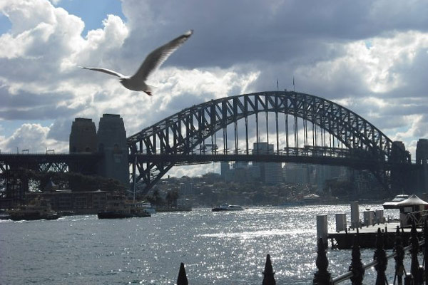 Sydney's other iconic feature, the Sydney Harbour Bridge