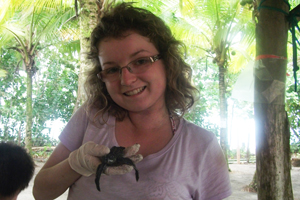 Turtles in Costa Rica