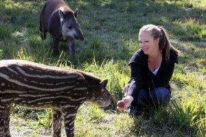 ELI Abroad's animal sanctuary in Brazil