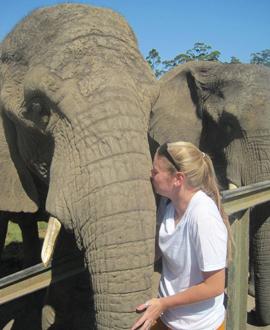 Cara got to feed, touch and kiss the elephants!