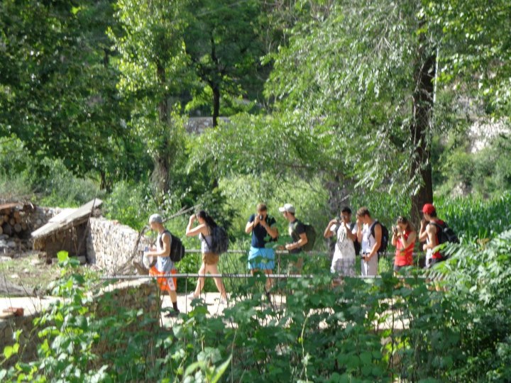 The forests in China