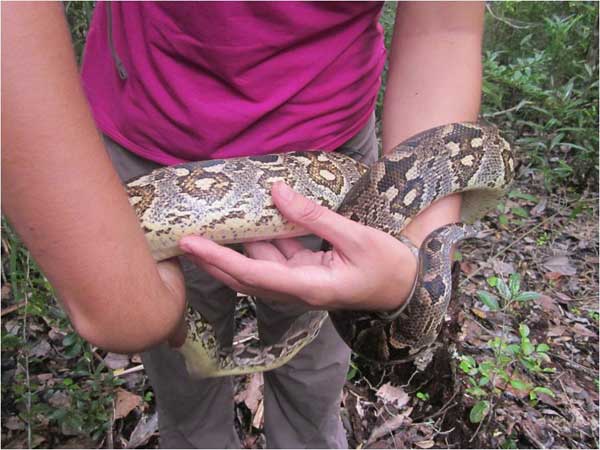 Getting up close and personal with the snakes!