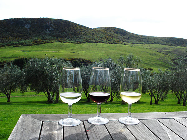 Wine tasting in New Zealand