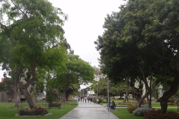 A beautiful shot of the La Catolica campus