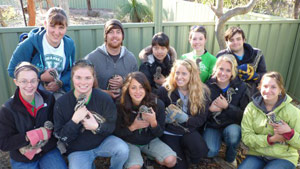Rebecca and her group volunteered with wildlife in Australia