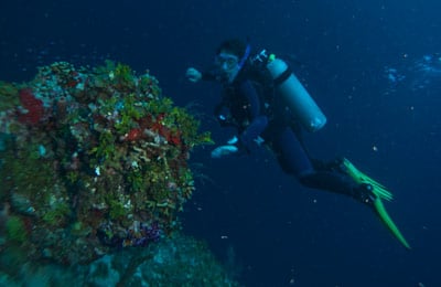 Adam SCUBA diving in Belize