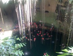  The sinkholes in Chichen Itza, it was 35m deep and beautiful. We swam in this.