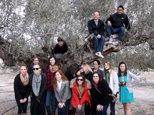 Olive Tree, Gastronomía