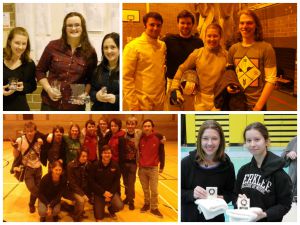 Fencing collage in Ireland