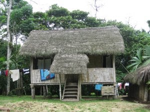 Jess's room for two weeks while living in the rainforest. 