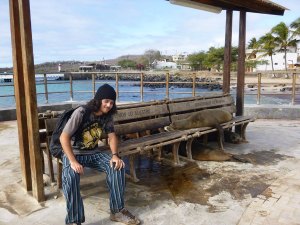 Seamus with relaxing sea lions in San Cristobal. 