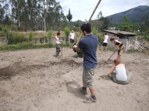 The Leap team tilling a field in the Andes.