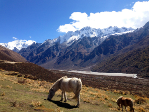 Langtang Trek