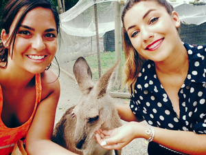 feeding wallaby