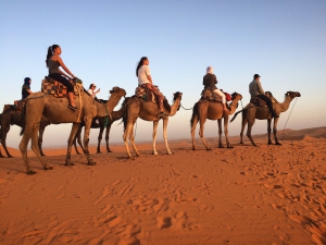 Riding camels in the Sahara