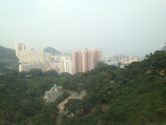 the city view