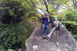 merrion square dublin