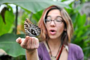 butterfly farm